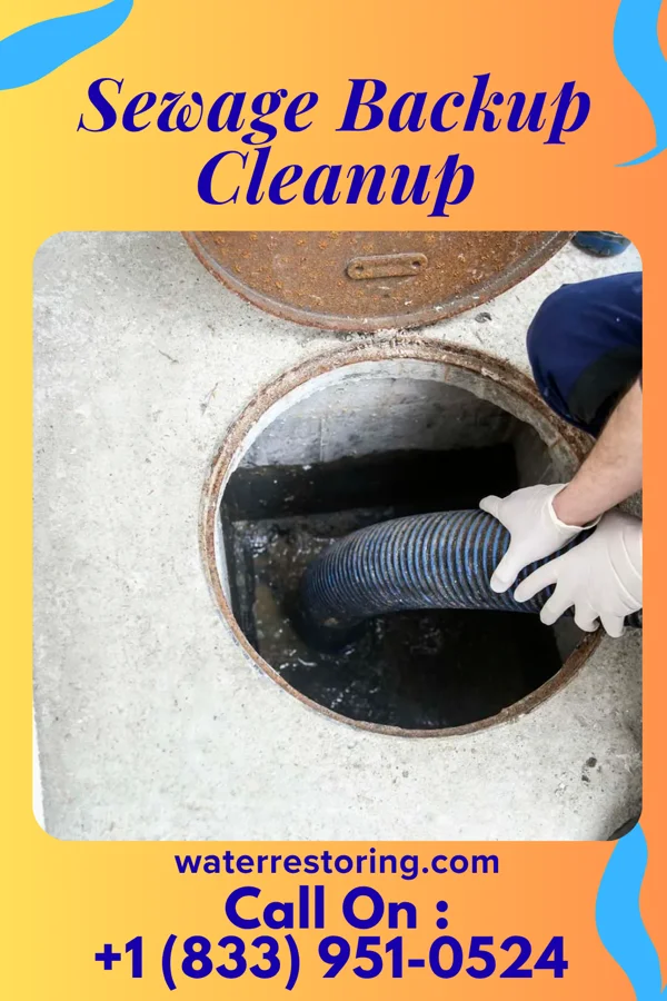 Sewage Backup Cleanup in Memphis, MO